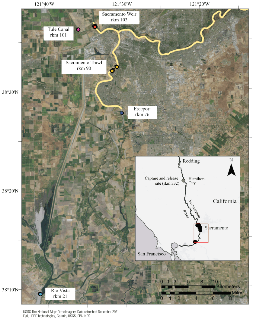 Section of Sacramento River containing full study area in northern and central California
                        and emphasizing relation of acoustic telemetry receivers to the American River Watershed
                        Common Features Project area.