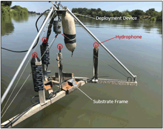 Metal frame with four hydrophones pointing upward suspended above the water surface
                        prior to deployment.