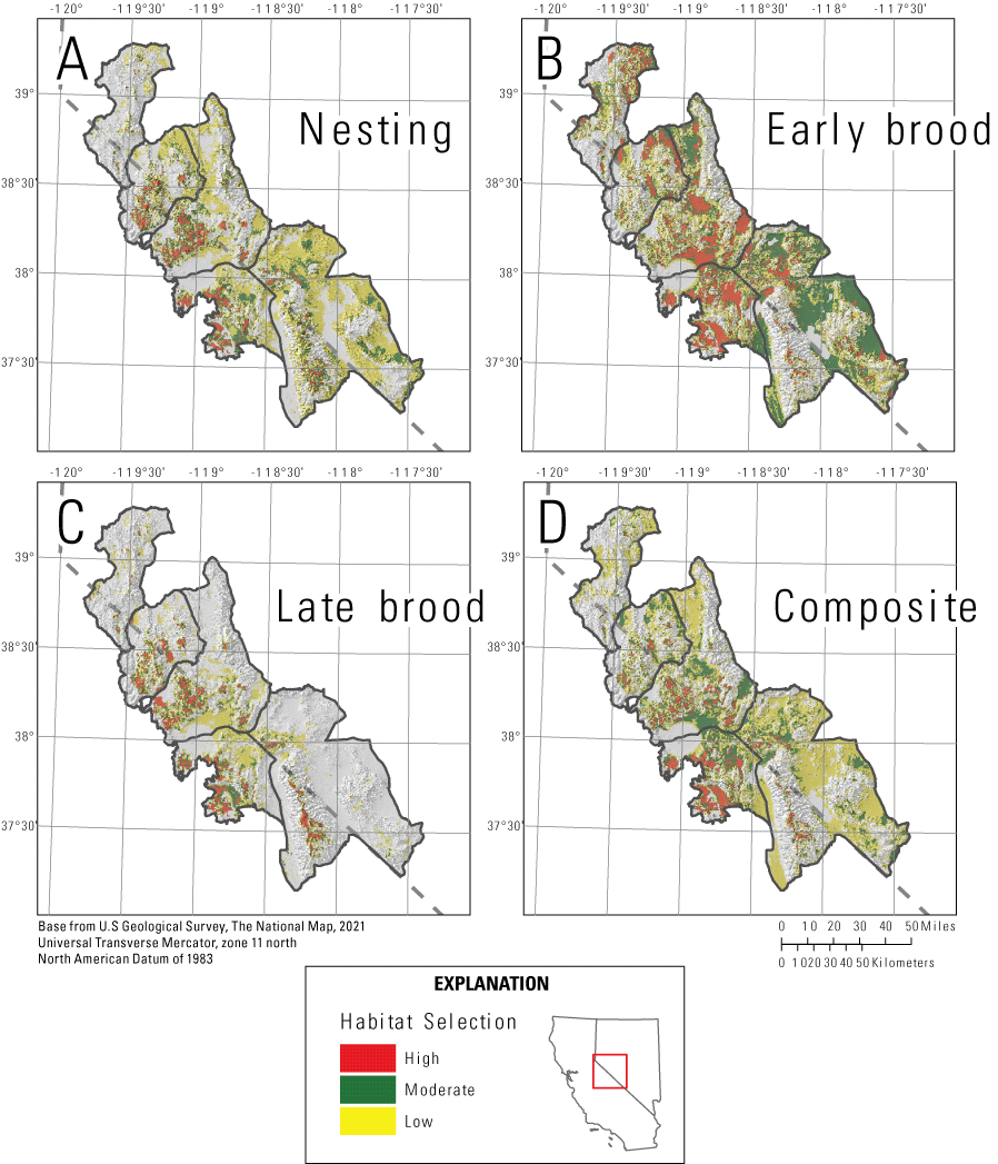 5. Categorized habitat selection for greater sage-grouse varied across life stages.