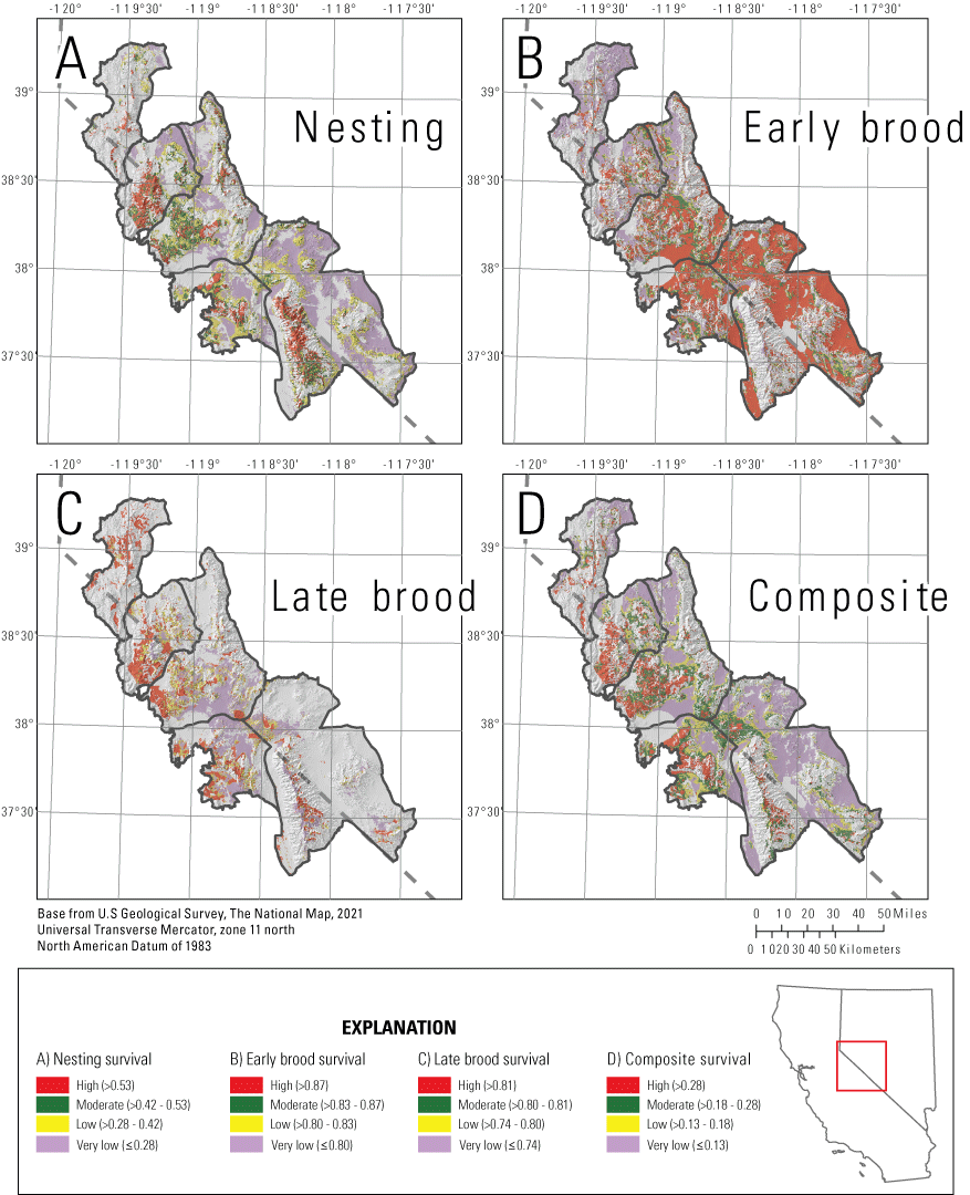 6. Categorized survival for greater sage-grouse was greatest during the early brood-rearing
                           period.