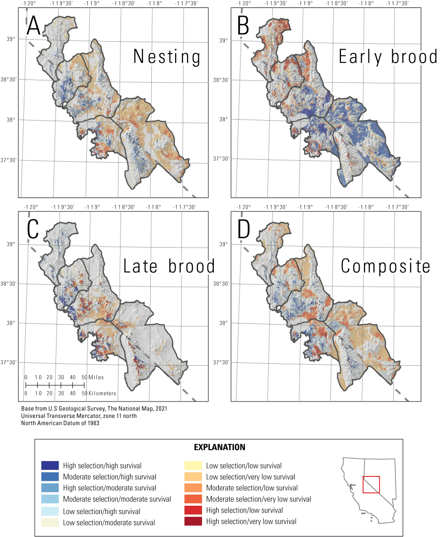 8. Overlap between habitat selection and survival for greater sage-grouse varied across
                           reproductive life stages.