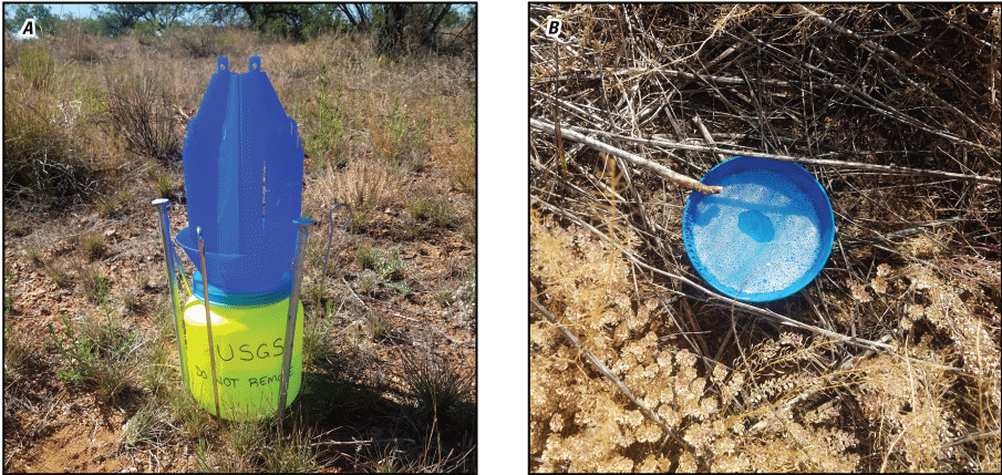 The blue vane trap has a yellow collection area topped by a four-parted-blue vane
                        that directs an insect inside. The bee bowl is smaller, open at the top, and the soapy
                        water inside is visible