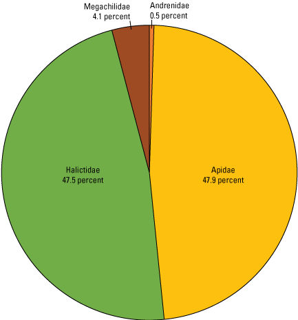 The bee families Halictidae and Apidae account for over 95% of the bees identified,
                        and Megachilidae and Andrenidae account for less than 5%