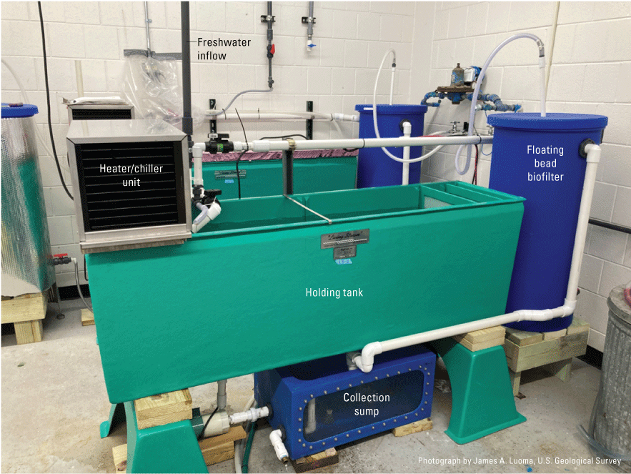 ALT Text. Horizontal holding tank is center with a biofilter on right, a sump below,
                        and other components above the system.