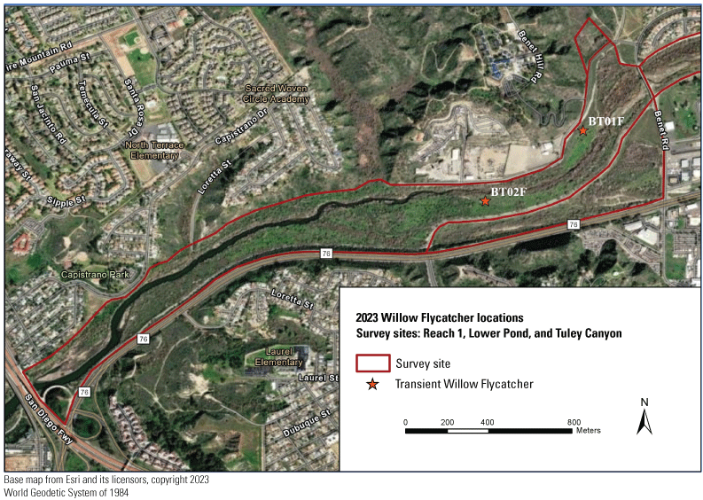 8.1. Map of Reach 1 showing location of two transient Willow Flycatchers.