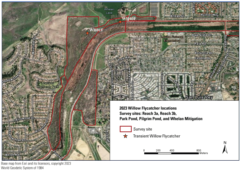 8.2. Map of Reach 3a, 3b, Park Pond, Pilgrim Pond, and Whelan Mitigation showing location
               of two transient Willow Flycatchers.