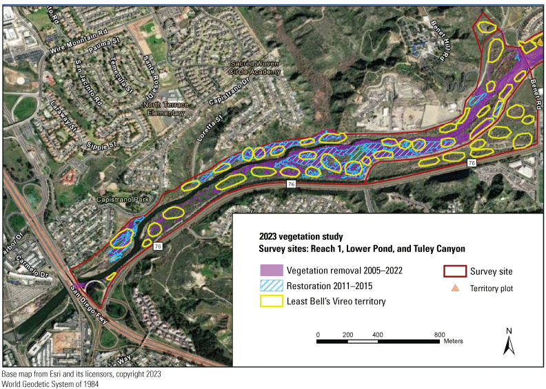 9.1. Vegetation treatments and territories depicted by polygons on colored map. There
               is a large patch of restoration in Reach 1.