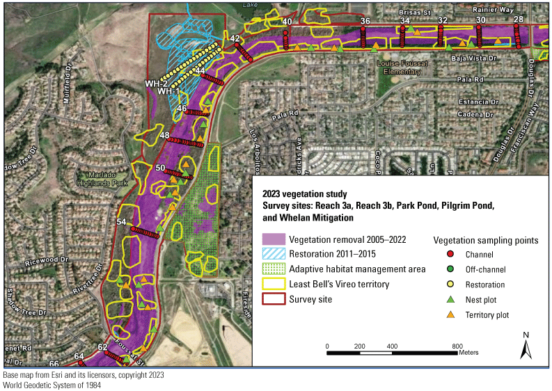 9.3. Vegetation treatments and territories depicted by polygons on a colored map.
               The center of the river channel has been mowed, and there is a large restoration area
               in Whelan Mitigation. Several vegetation transects cross the river.