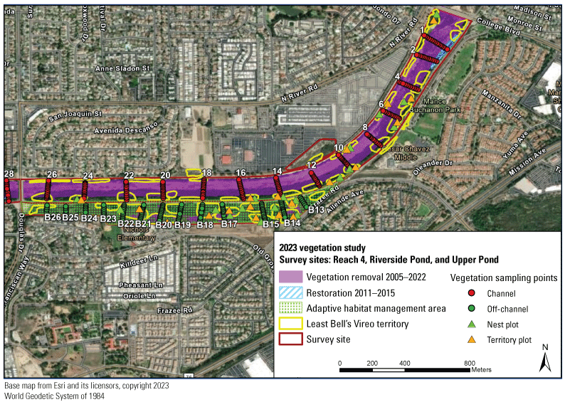 9.4. Vegetation treatments and territories depicted by polygons on a colored map.
               The center of the river channel has been mowed. Off-channel, there is an area of adaptive
               habitat management. Several vegetation transects cross the river.