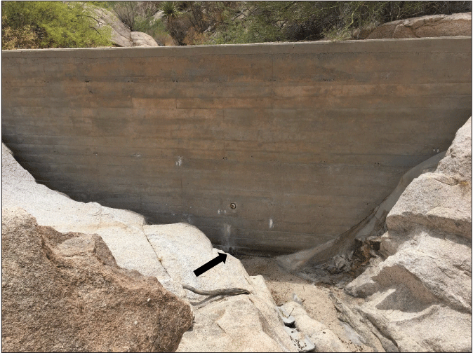 2.9. A small concrete wall with drainage holes at its base located in a mostly bedrock
                  channel.