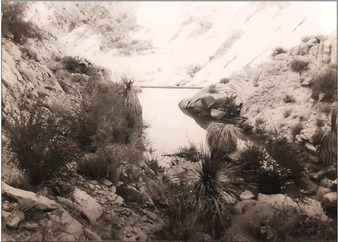 2.13. A rocky catchment full of water with desert vegetation in the foreground.