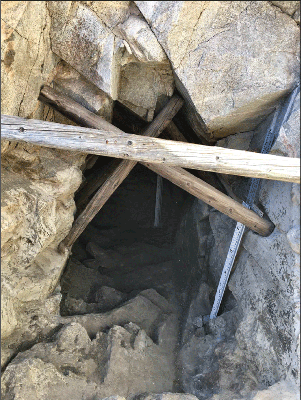 2.16. Tank entrance with wooden beams at different angles along the ceiling. A stage
                  height rod extends below one beam.