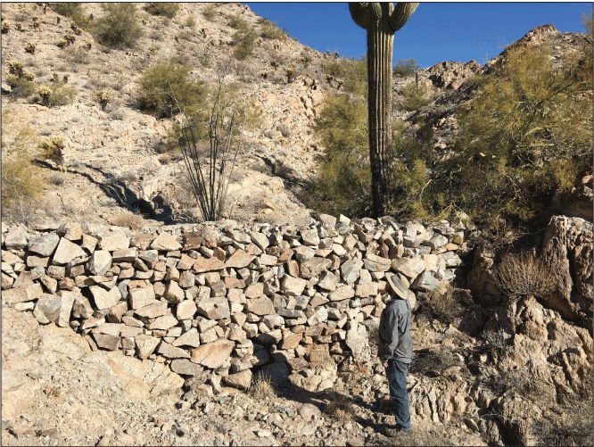 2.22. A constructed rock wall within a channel with a Saguaro cactus upstream and
                  a person downstream. Wall appears taller than the person.