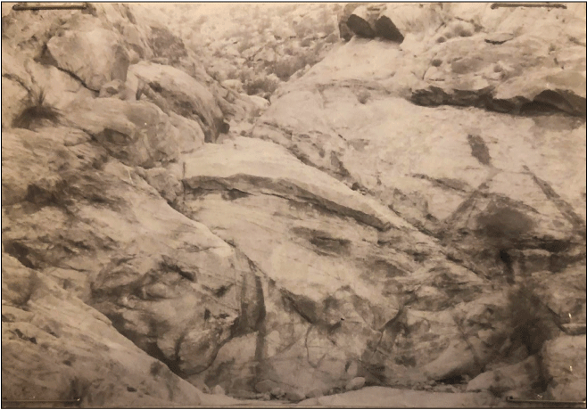 2.24. Rocky surface with tilted bedding planes.