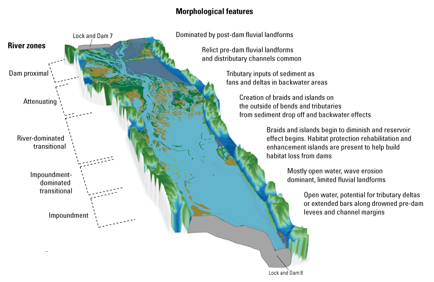 Five river zones between dams are (from upstream to downstream): dam proximal, attenuating,
                        river dominated transitional, impoundment dominated transition, and impoundment.