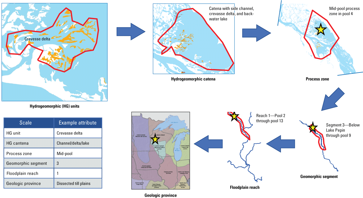 The crevasse delta example is part of a channel/delta/lake hydrogeomorphic catenae,
                     mid pool process zone, geomorphic segment 3, floodplain reach 1, and dissected till
                     plains.