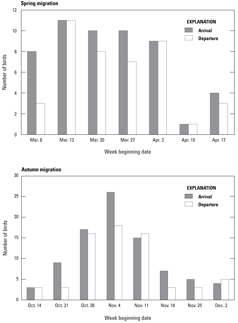 Bar charts depicting the number of birds arriving and departing by week during spring
               and autumn migration.