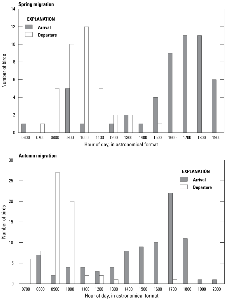 Bar charts depicting the number of birds arriving and departing by hour of day during
               spring and autumn migration.