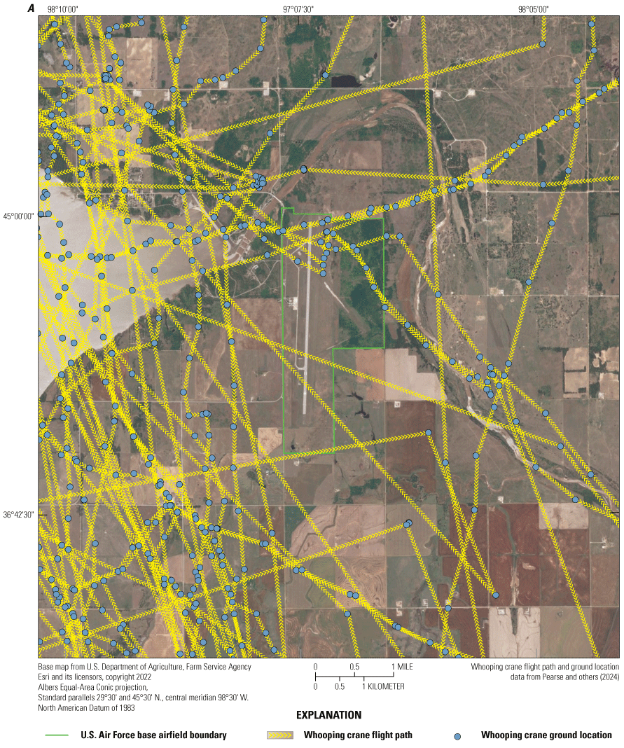 Panel A: Migration flight paths of whooping cranes were concentrated west of Kegelman
                        Auxiliary Airfield. Panel B: Migration flight paths of whooping cranes were equally
                        represented east and west of Vance Air Force Base. Panel C: Most ground locations
                        were concentrated west of Kegelman Auxiliary Airfield. Panel D: Most ground locations
                        were concentrated west of Vance Air Force Base.