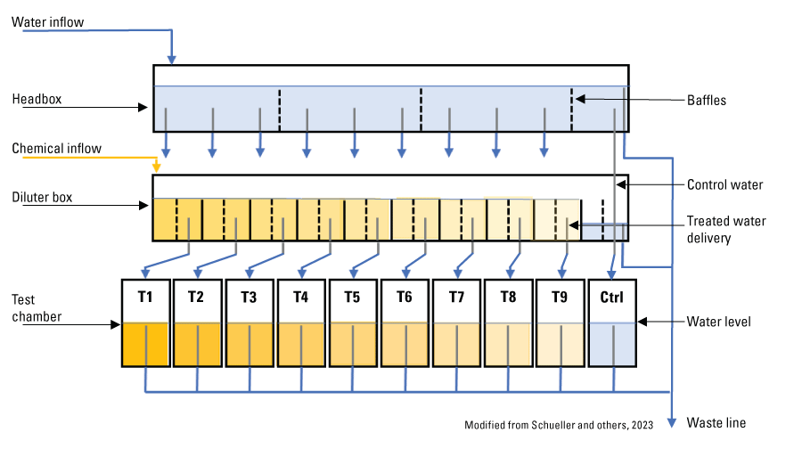 Chemical is added to clean water. Chemical progressively dilutes and different concentrated
                        water from the diluter box flows to the test chambers.