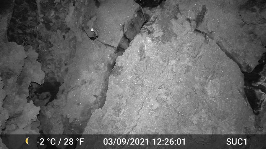 Black and white image of equipment mounted on rock. Image indicates –2 degrees Celsius,
                  March 9, 2021, 12:26:01.