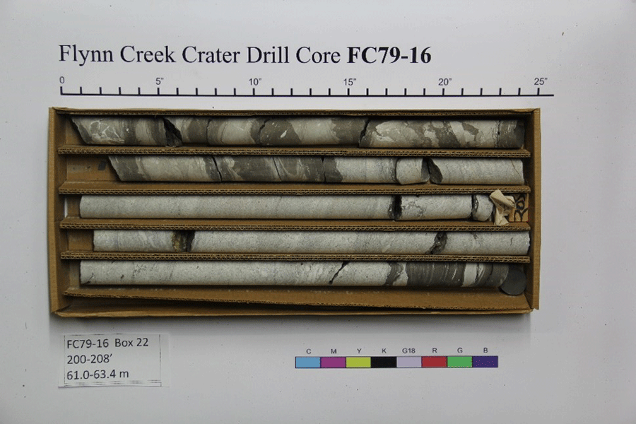 Five drill-core sections of roughly equal length are side-by-side inside the drill
                     core box.