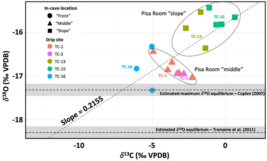 Each of the drip sites (TC–1, TC–2, TC–13, TC–15, TC–16) is defined by its in-cave
                     location: front, middle, or slope.