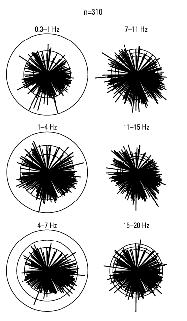 There is no preferential orientation, except for the 7–11- and 11–15-hertz bands,
                        where amplitudes are higher along a northwest–southeast axis.