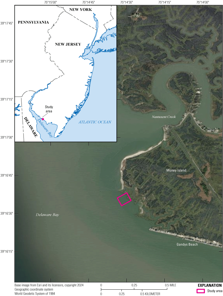 Figure 1. Map and aerial image show the study area location along the southern shore
                        of New Jersey in Delaware Bay.