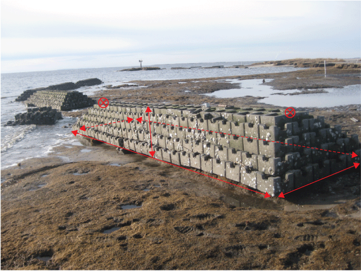 Figure 5. Photograph shows hydrodynamic modeling measurements marked on a constructed
                        oyster reef along the shoreline.