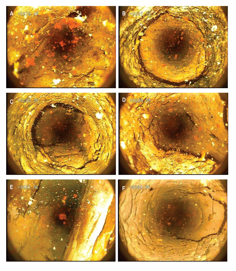 Set of photographs showing selected features from borehole video of well MG 679 (S-11)