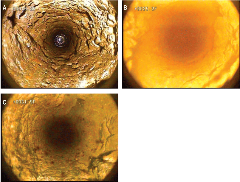 Set of photographs showing selected features from borehole video of well MG 2201 (S-1)