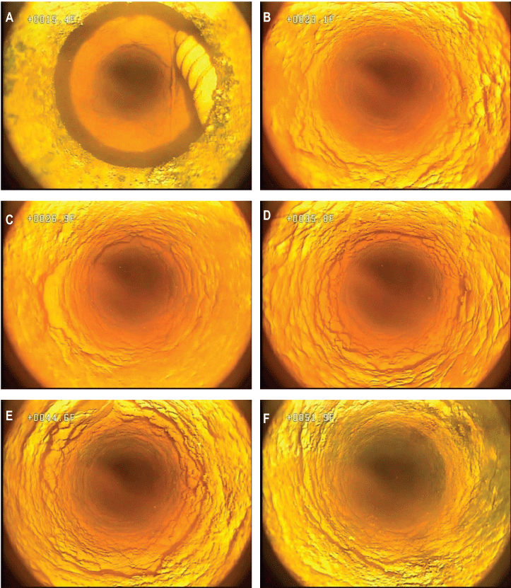 Set of photographs showing selected features from borehole video of well MG 2202 (S-2)