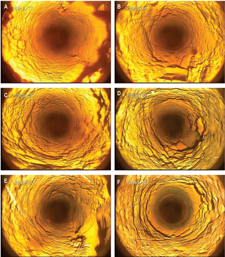 Set of photographs showing selected features from borehole video of well MG 2203 (S-3)