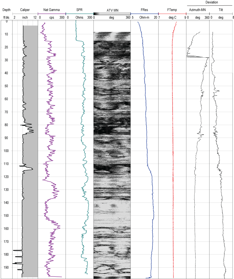 Set of geophysical logs extending to depth of about 200 feet for well MG 2204 (D-3)