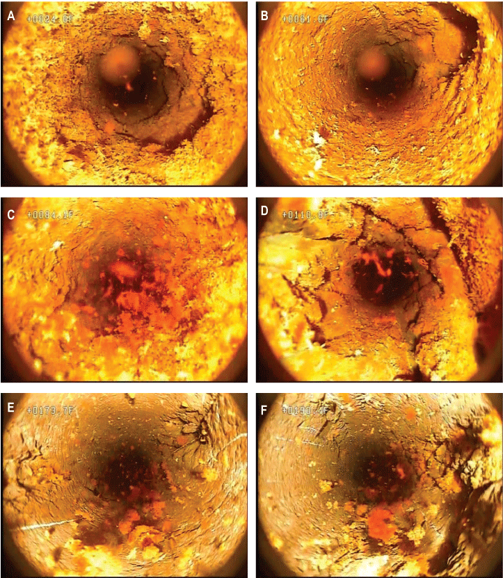 Set of photographs showing selected features from borehole video of well MG 2204 (D-3)