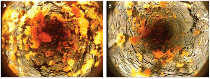 Set of photographs showing selected features from borehole video of well MG 2204 (D-3)