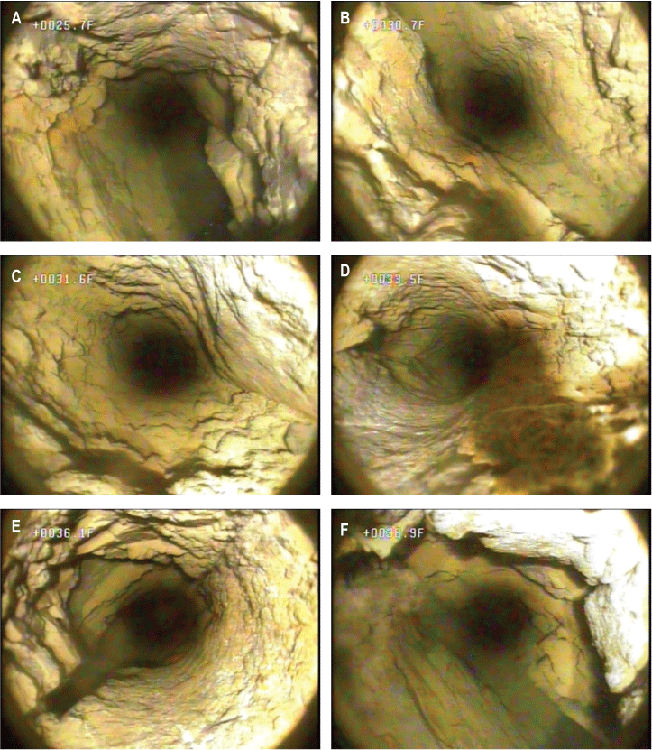 Set of photographs showing selected features from borehole video of well MG 2220