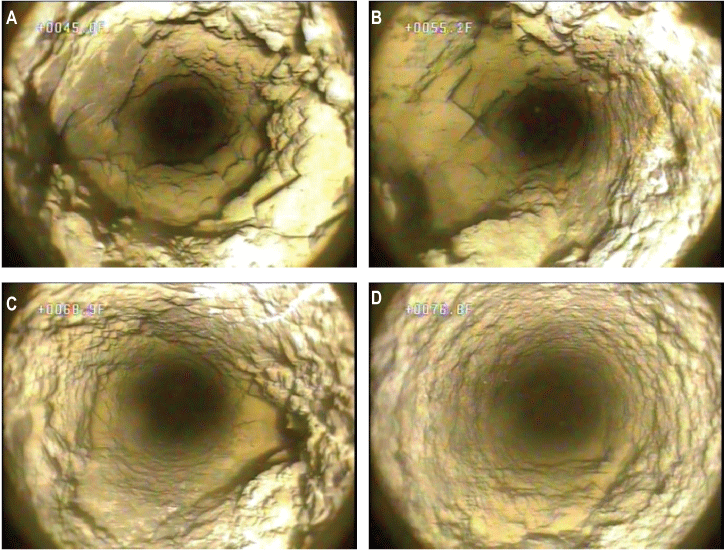 Set of photographs showing selected features from borehole video of well MG 2220