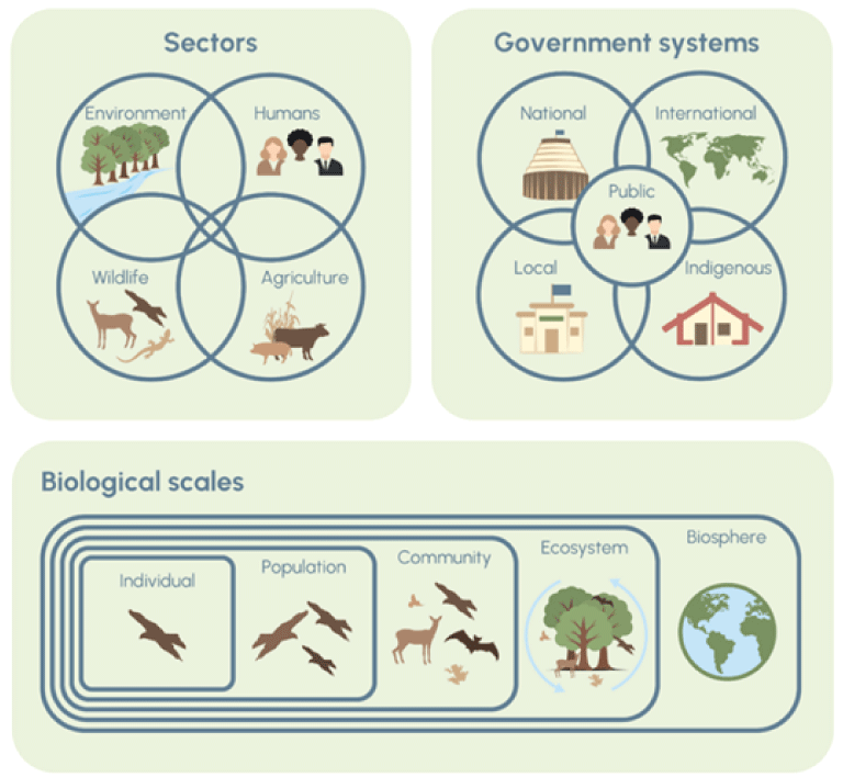 Graphic showing integration of scales needed for operationalizing One Health approaches
                        in the Anthropocene (reproduced from Pepin and others, 2024)