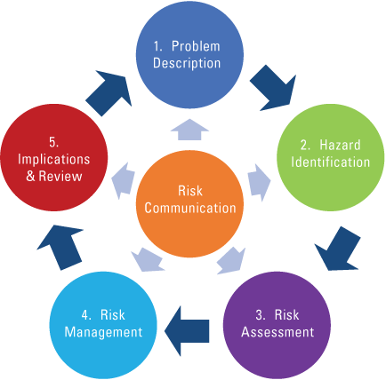 Graphic of the wildlife disease risk analysis process