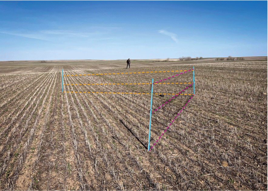 Two nets set up with three poles arranged in a V.