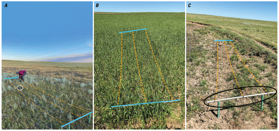 Three images of deployed horizontal mist nets.
