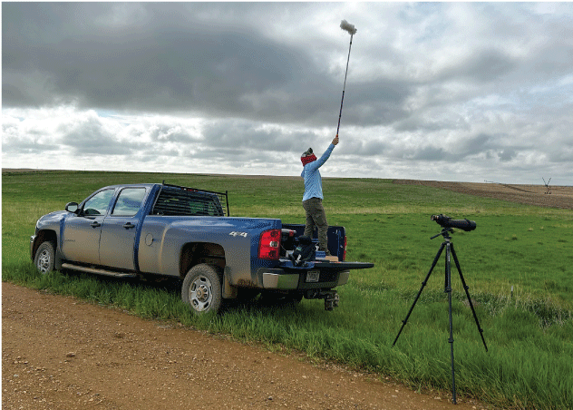 A person stands on the bed of a truck holding a pole over their head.