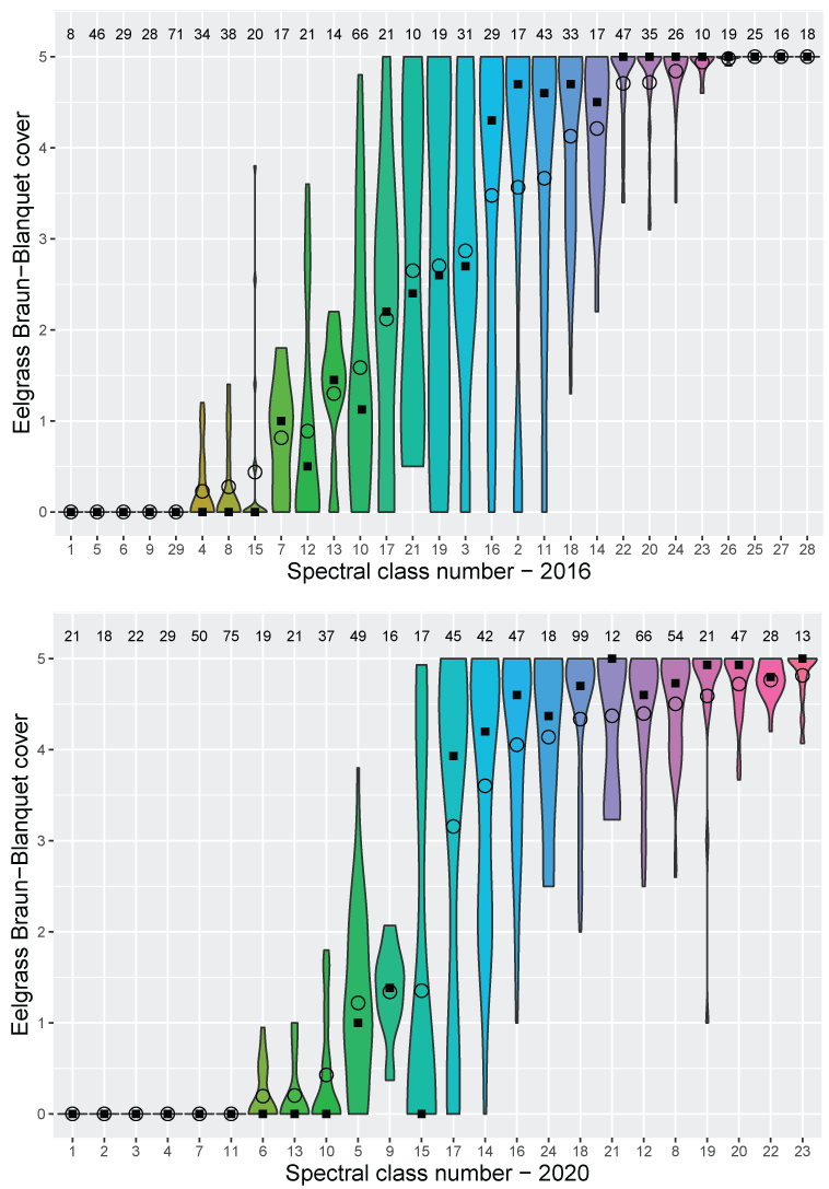 Violin plots showing eelgrass Braun-Blanquet cover within each of the 29 spectral
               classes from the 2016 Sentinel-2 image (top) and the 24 spectral classes derived from
               the 2020 Sentinel-2 image (bottom).