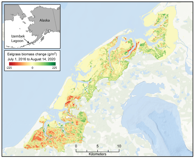 Estimated change in eelgrass biomass (in grams per square meter) at Izembek Lagoon,
                        Alaska, from July 1, 2016, to August 14, 2020