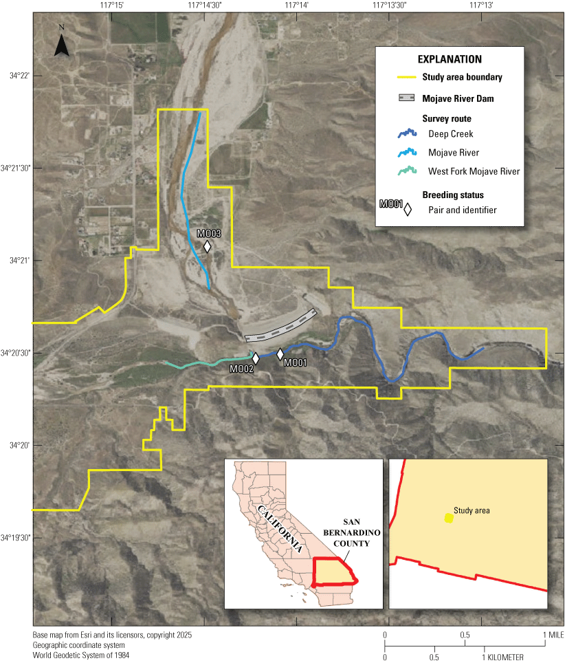 2.	Least Bell’s Vireo detections and breeding status on a map. Colored lines represent
                     survey routes and white diamonds represent territories containing vireo pairs.