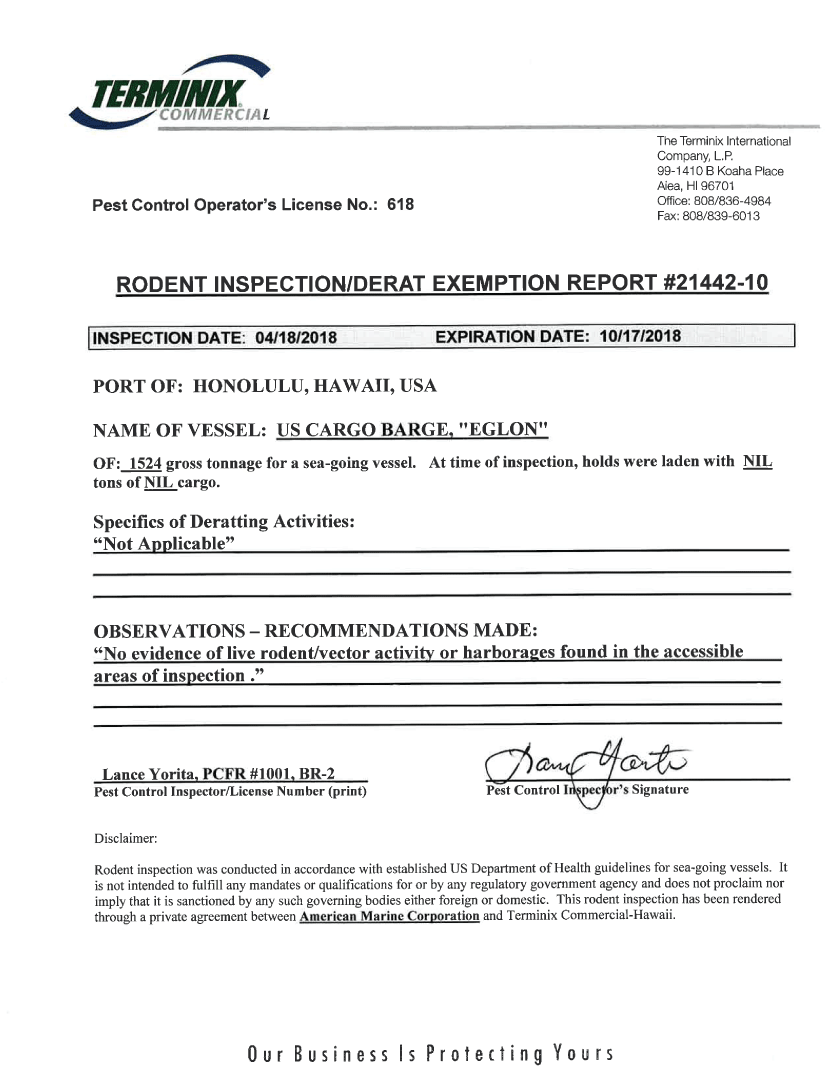 4.1. Representation of report.