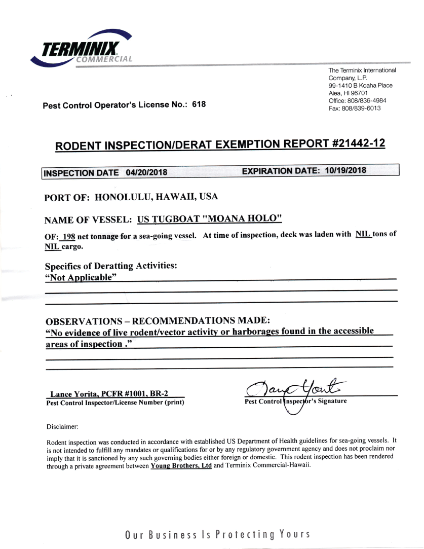 5.1. Representation of report.