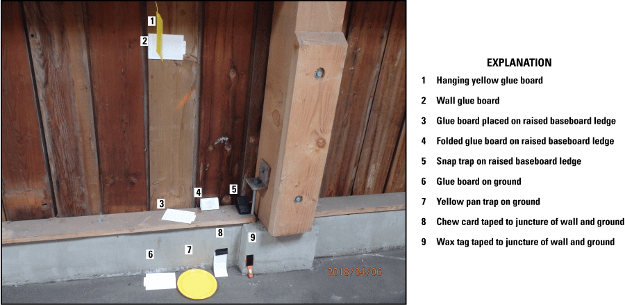 11. Representation of a station with animal detection tools used.